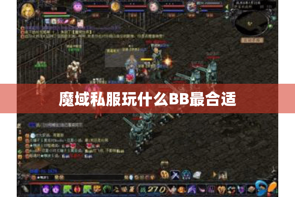 魔域私服玩什么BB最合适