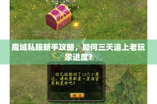 魔域私服新手攻略，如何三天追上老玩家进度？