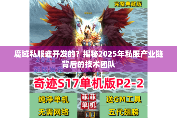 魔域私服谁开发的？揭秘2025年私服产业链背后的技术团队