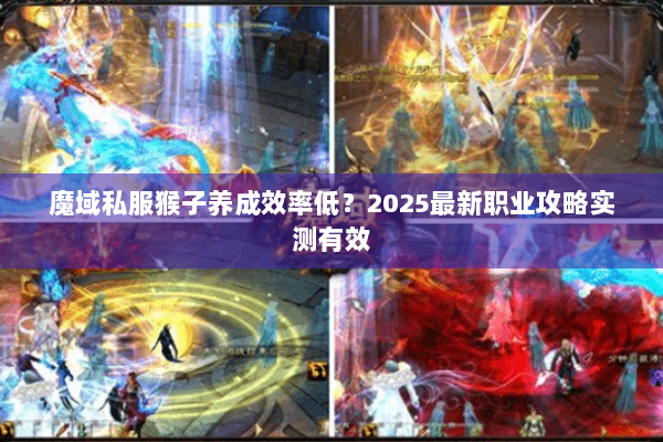 魔域私服猴子养成效率低？2025最新职业攻略实测有效