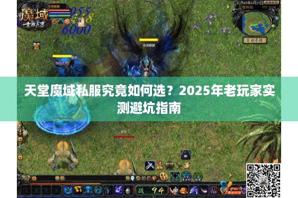 天堂魔域私服究竟如何选？2025年老玩家实测避坑指南