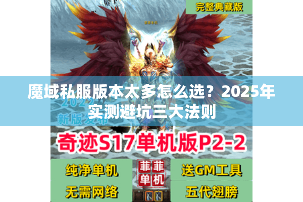 魔域私服版本太多怎么选？2025年实测避坑三大法则