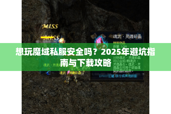 想玩魔域私服安全吗？2025年避坑指南与下载攻略