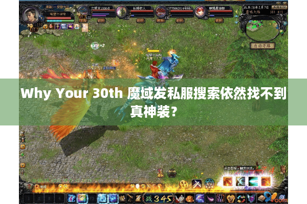 Why Your 30th 魔域发私服搜索依然找不到真神装？