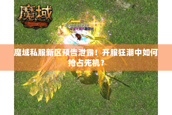 魔域私服新区预告泄露！开服狂潮中如何抢占先机？